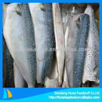 frozen whole cleaned mackerel fillet